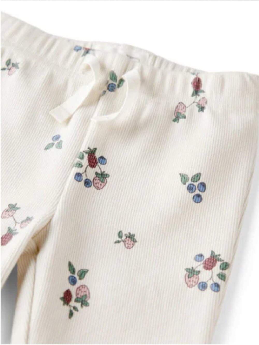 {Little Planet}: Organic Cotton Ribbed Knit Pants / Berry Blossom Print